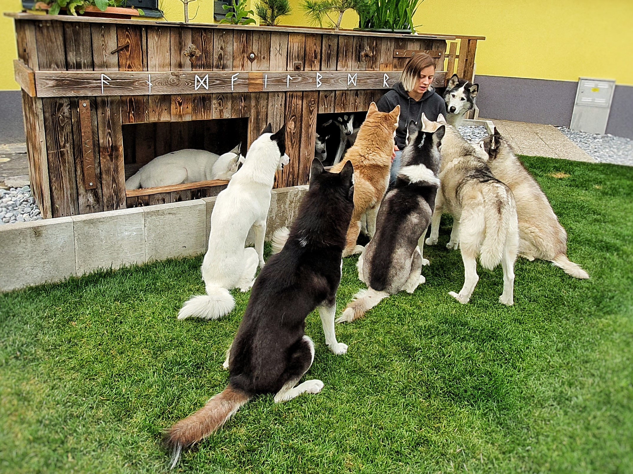 20210827_142522-01 Seminare und Vorträge Hundegesundheitszentrum Michaela Braunhofer Prutz